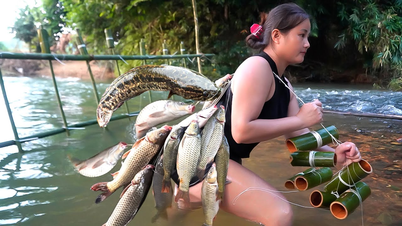 Full video: 50 days of fishing with seafood bait, surprised by a huge catch in a forest stream.