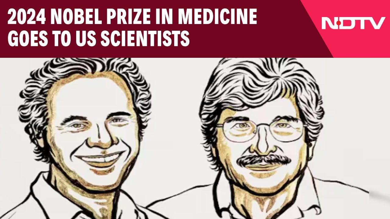 Nobel Prize In Medicine | 2024 Nobel Prize In Medicine Goes To US Scientists For microRNA Discovery