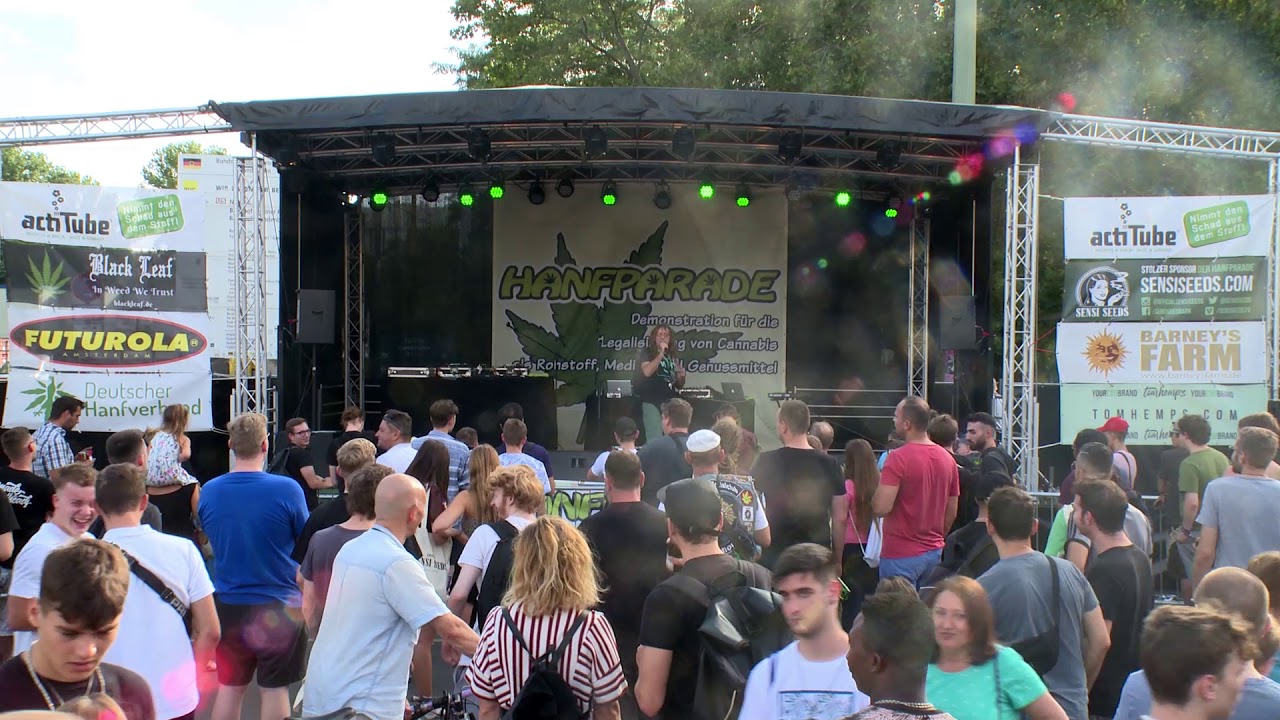 Michael Knodt (Freier Journalist in der Hanfbewegung) - Hanfparade 2019