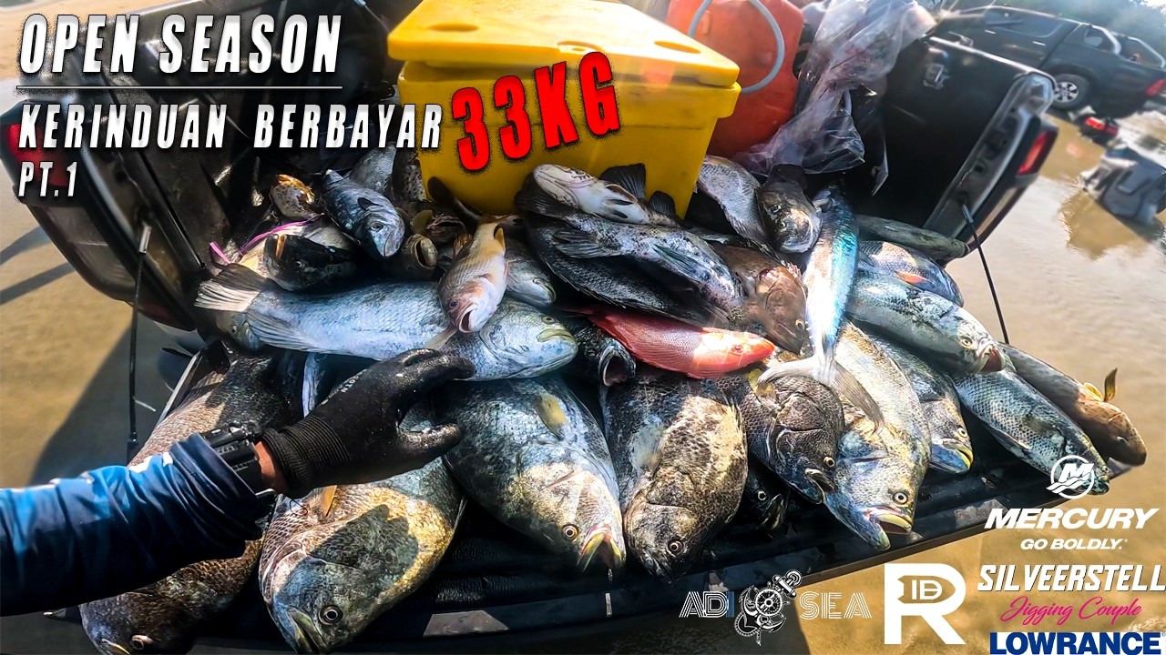 🔥🔥33KG IKAN GASAK OPEN SEASON. 🔥🔥