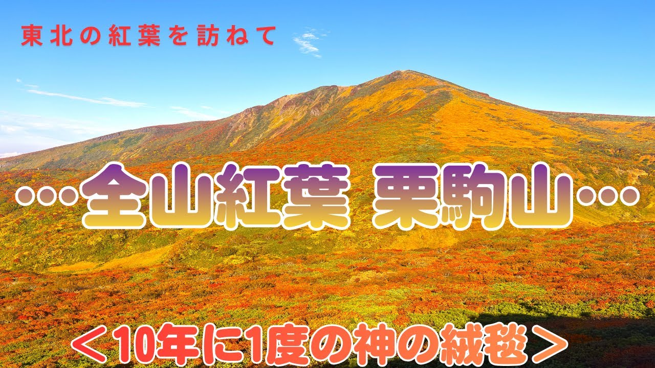 《栗駒山》「いわかがみ平～東栗駒コース～栗駒山～展望岩頭～中央コース周回」見た事の無い全山紅葉に唖然。