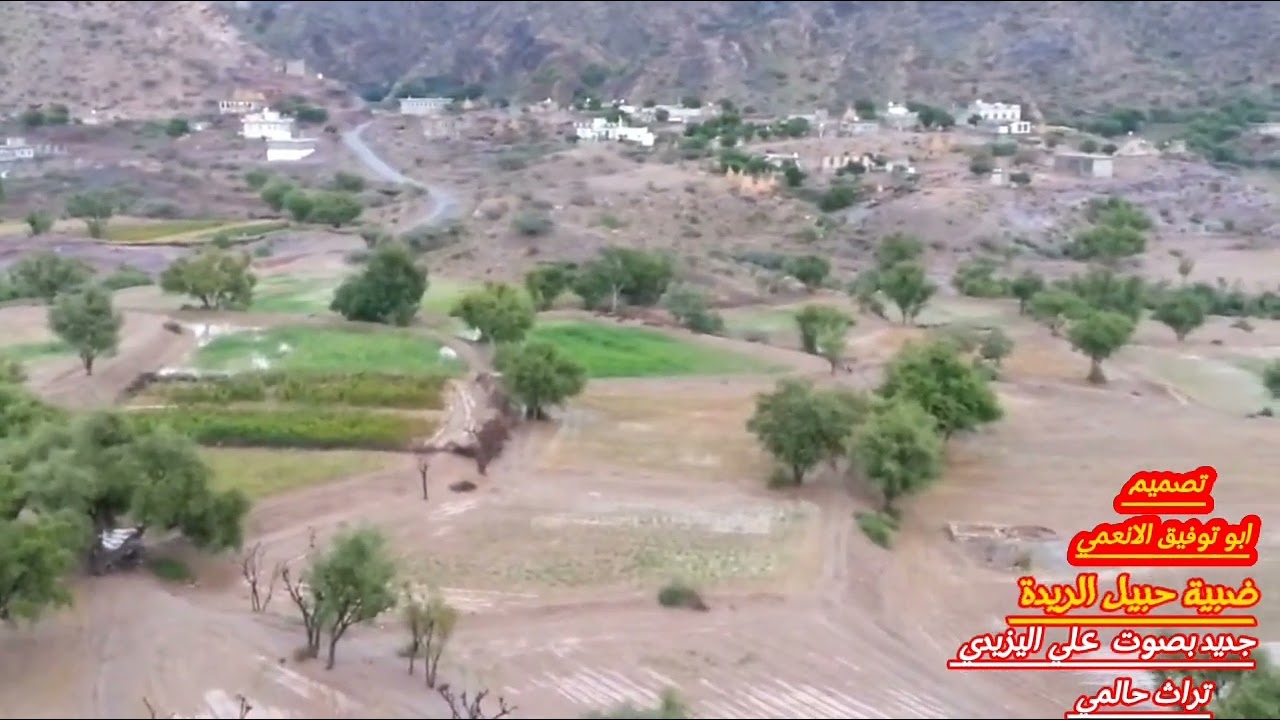 واضبية حبيل الريدة بصوت الفنان علي اليزيدي #تراث_ضالعي_قناة_ابوتوفيق_الانعمي