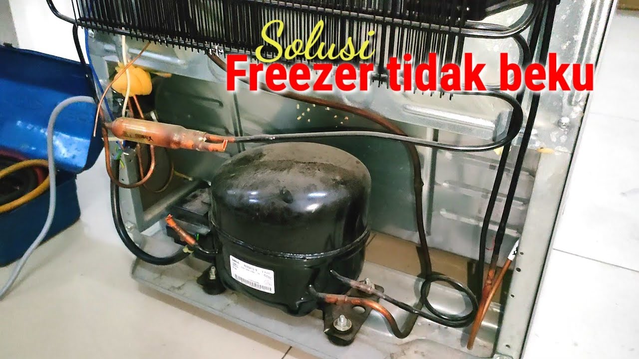 Freezer Tidak Beku