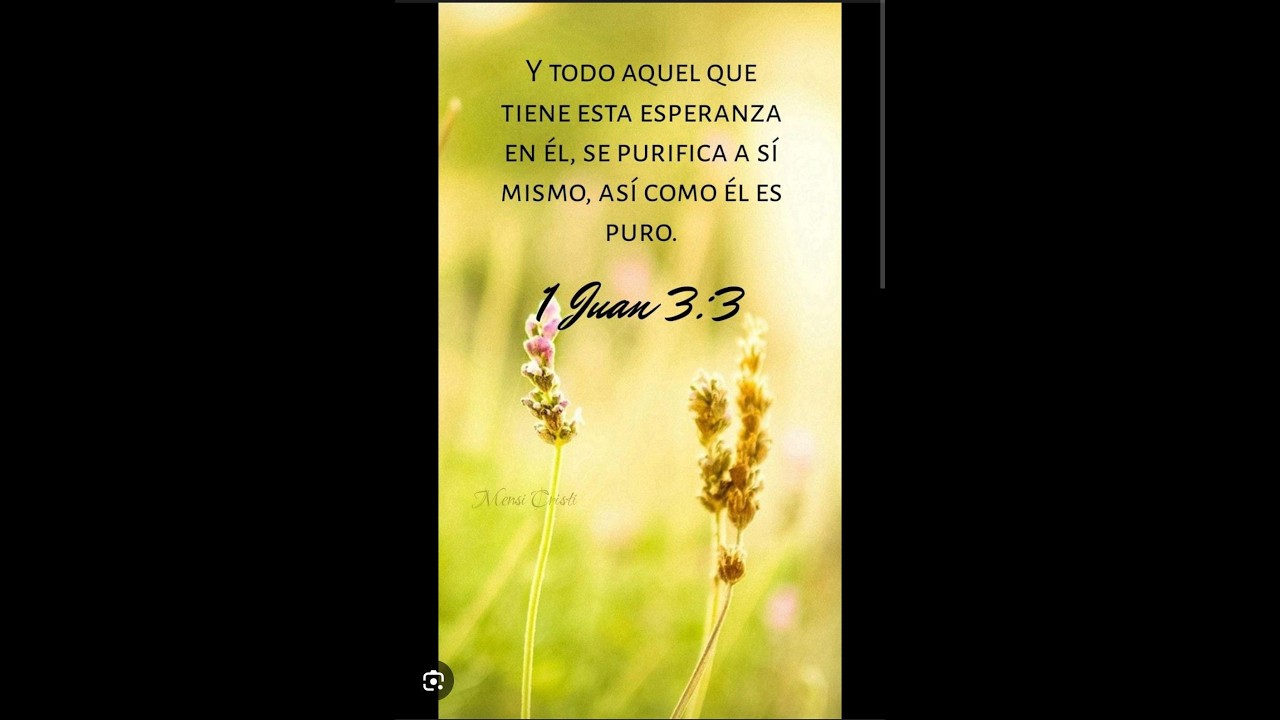 Todo aquel que tiene esta esperanza en el- 1 Juan 3.3- Predica domingo - 15/02/2026