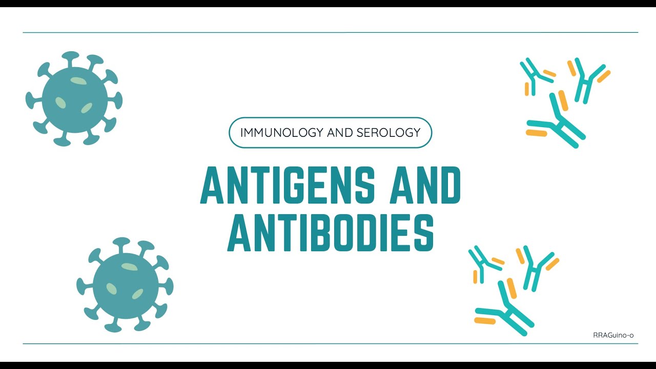 Antigens and Antibodies | Overview