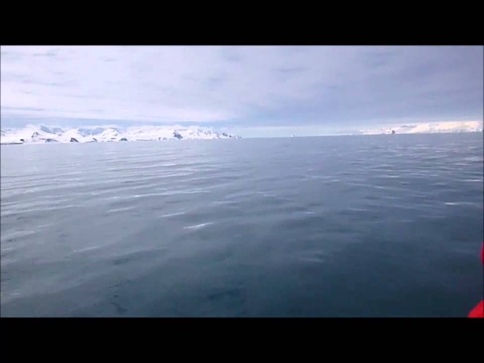 Calm waters in the South Shetland Islands
