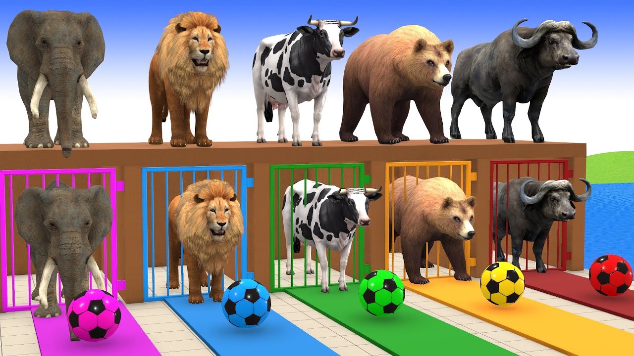 Long Slide Game With Cow Elephant Gorilla Hippopotamus Tiger 3d Animal Game Funny 3d Animals