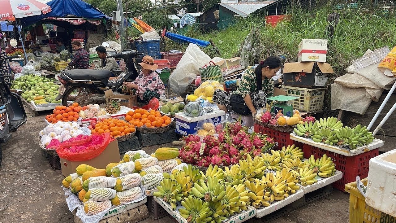 The Distribution Of Fruits, Fish, Grilled Fish & More  -  Amazing Cambodia Food Vlog