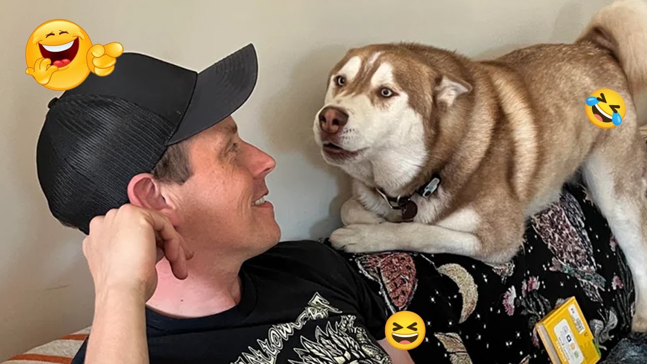 You Won’t Believe How Funny These Dogs Are 😂🐶 | Best Funny Animals 2026 #4