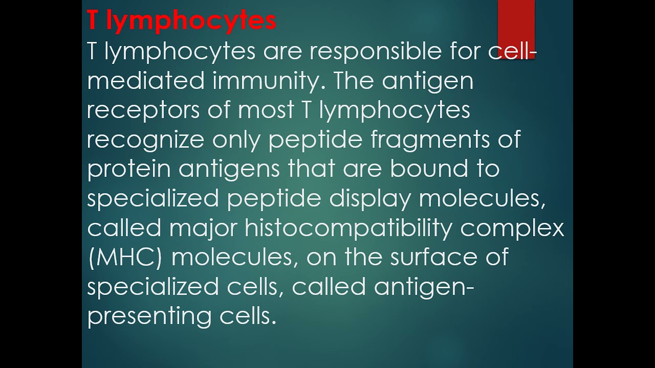 Acquired immunity - By Dr. Noha Saber