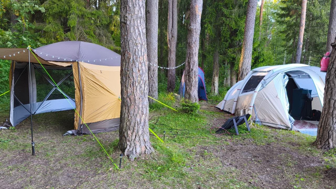 С палаткой на реке Медведица, Обзор нашего лагеря