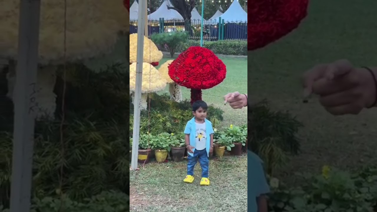 Mandya-flowershow🥀🌸.                      #flowershowmandya#viral#trending#karnataka#reacmore