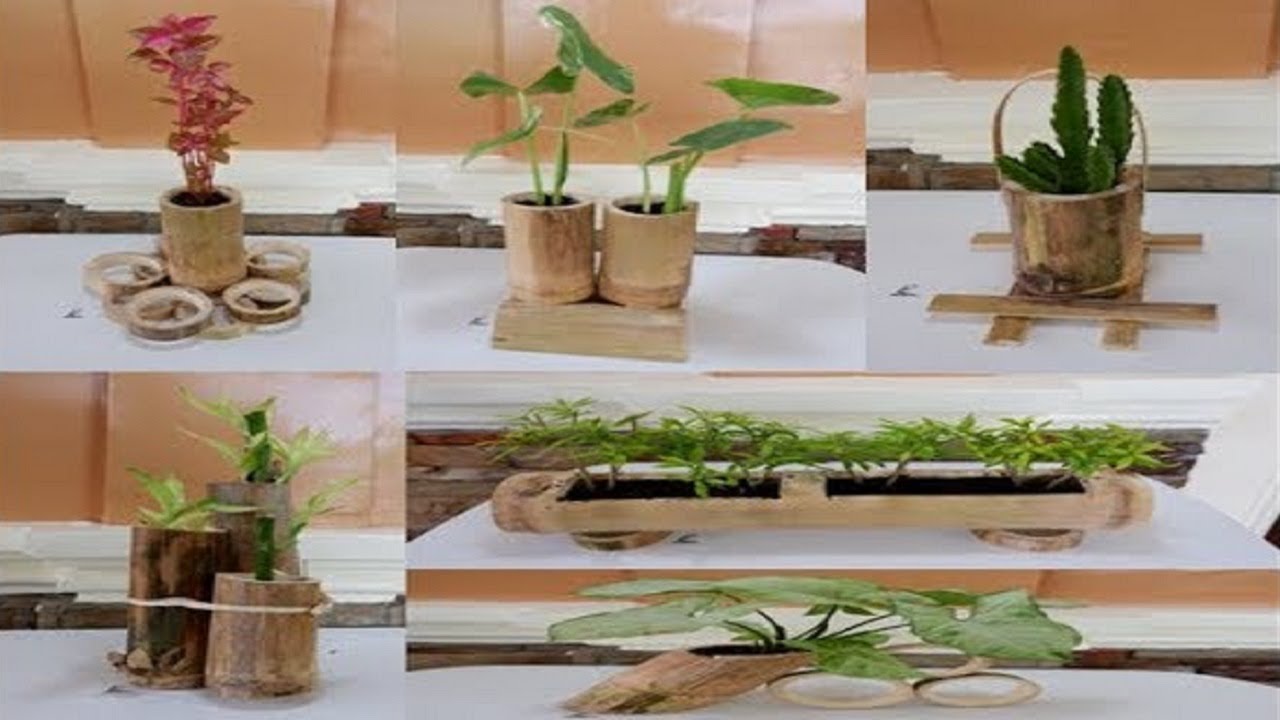 6 Beautiful DIY Bamboo Planter Ideas