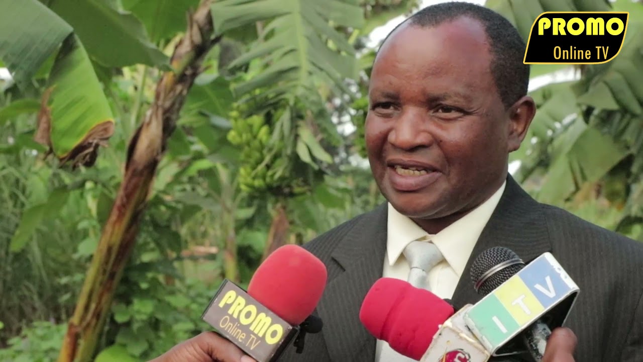 Ubora wa mbegu mpya za minazi 'usipime'! zina uwezo mkubwa wa kuhimili ukame na magonjwa.
