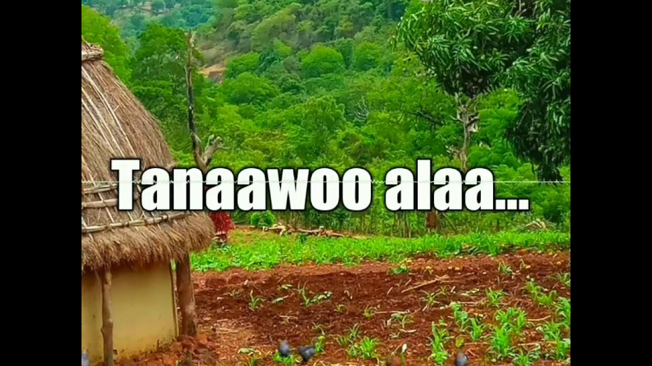 Boundoudji : Tanaawoo alaa ||  Kumpital TV