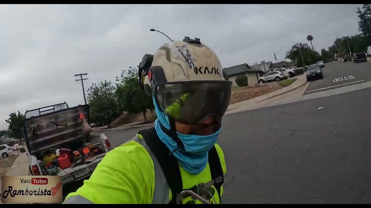 Pasando de una palma a otra de 30ft a 40ft de distancia,Stihlms220tc,Speed line,