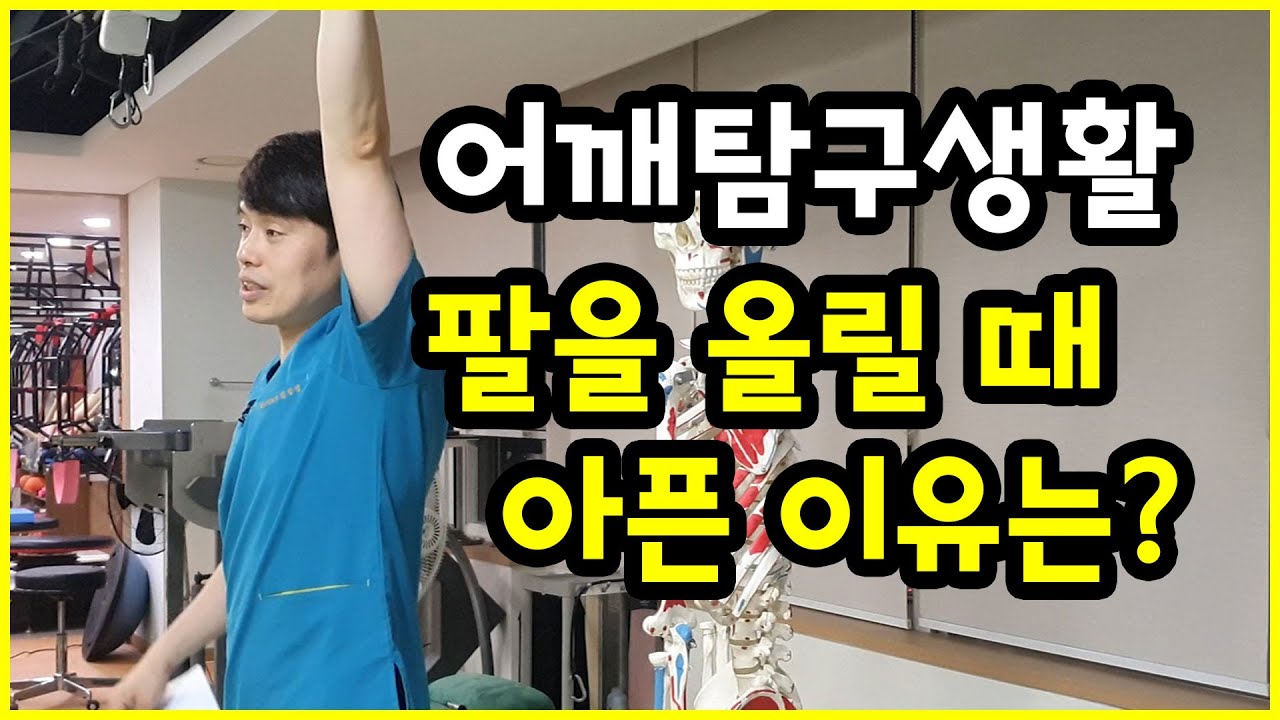 팔을 올리면 어깨가 아픈 이유는 왜 때문에? 어깨와 날개뼈가 움직이는 역학 탐구