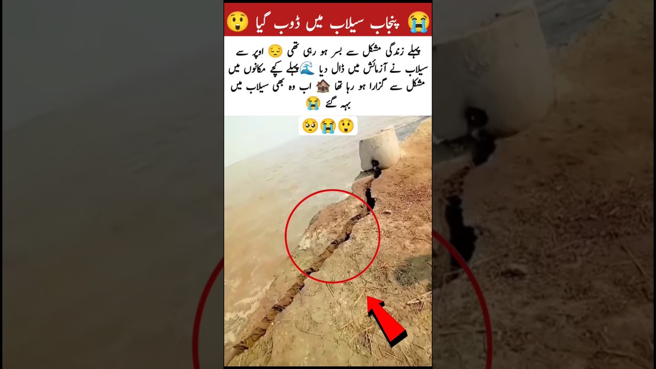 🌊 Life was already tough 😔 but the flood washed away the little hope left 💔🏚️ #sailab #flood #shorts