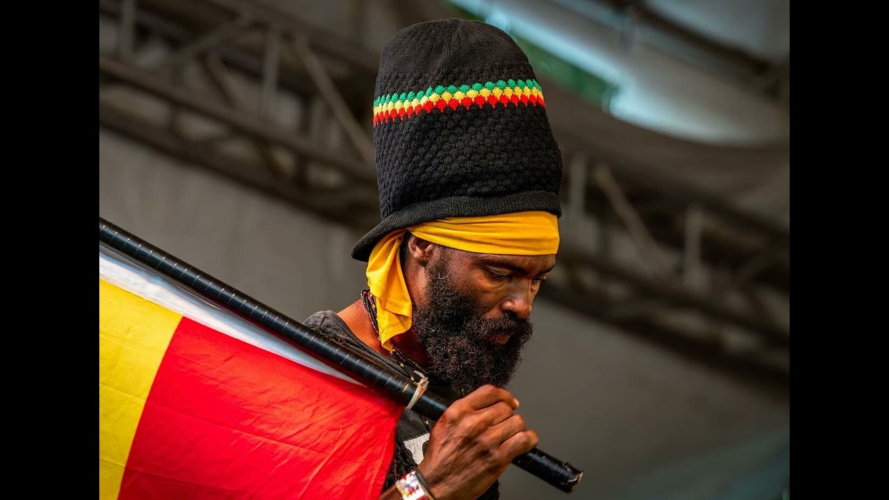 No Woman No Cry - (Bob Marley & The Wailers Cover) Moz And The Dog