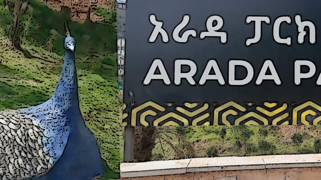 The Day time look of Arada Park
