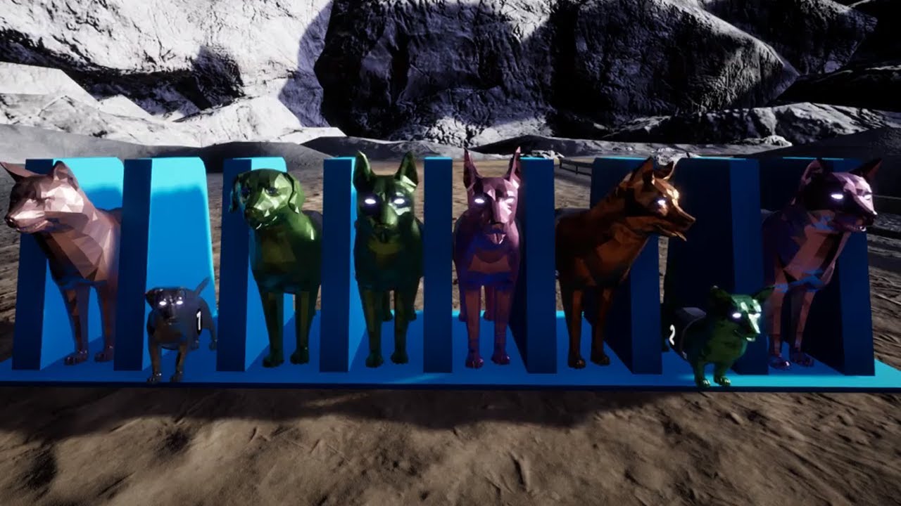 This is Why Doge Run Will Be The Best NFT Game Ever