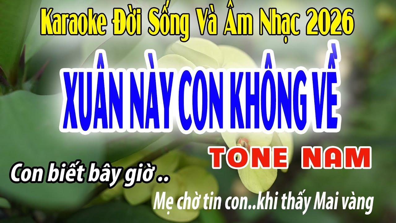 Xuân Này Con Không Về | Karaoke Tone Nam | D | Đời Sống Và Âm Nhạc | Beat 2026