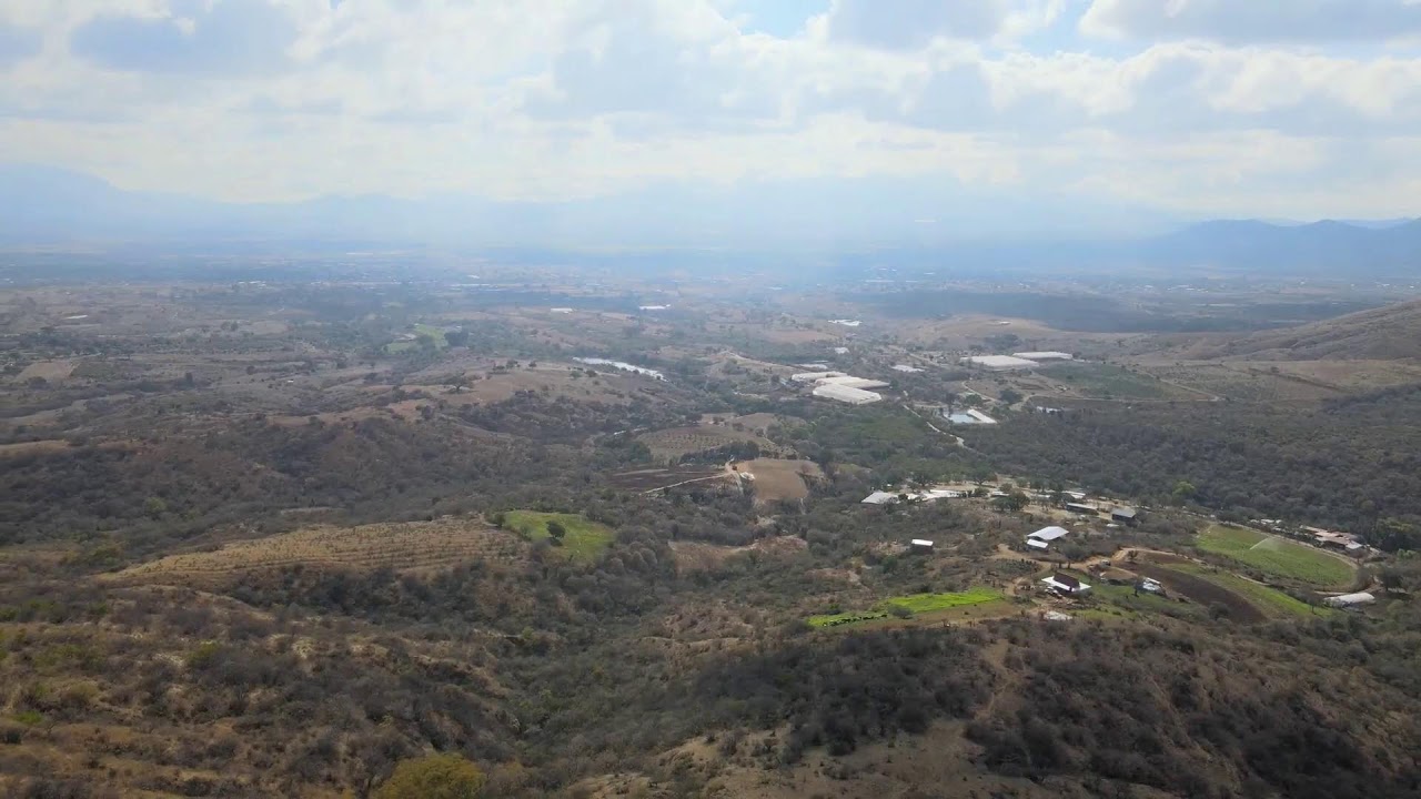 El campo florece E9 23/02/2026