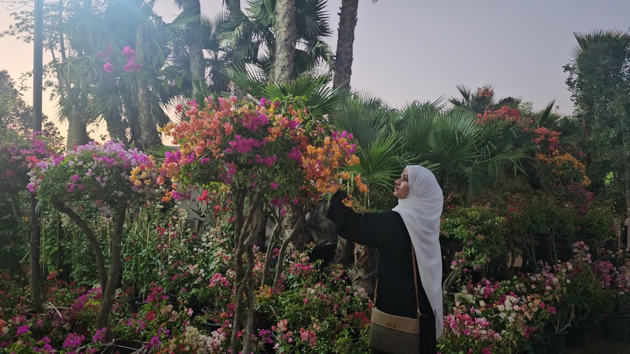 warsan Outdoor Garden🙌❤️💐 and details about the dubai job😊#dubai #dubaitamilvlog #gardening💐❤️💯❤️