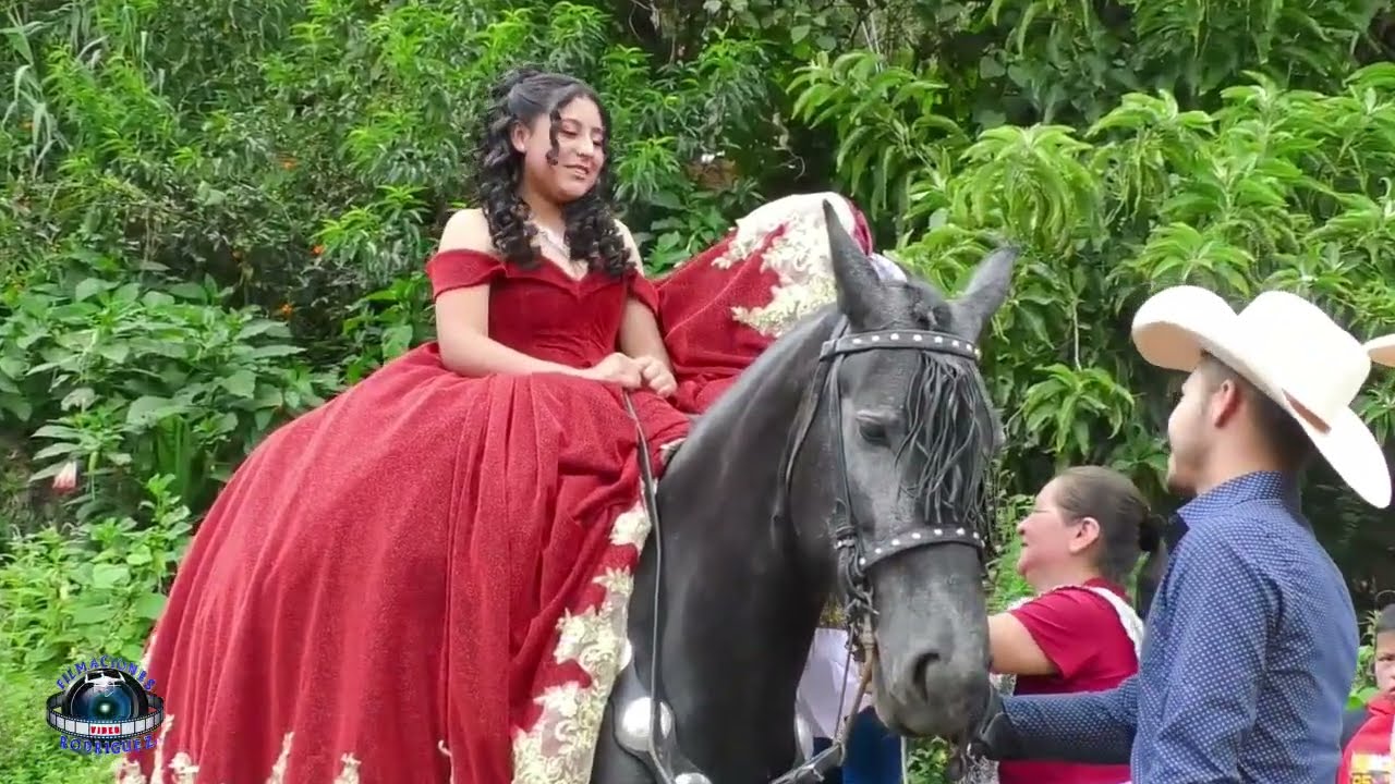Intro 15 años luciendo vestuario y caballo 