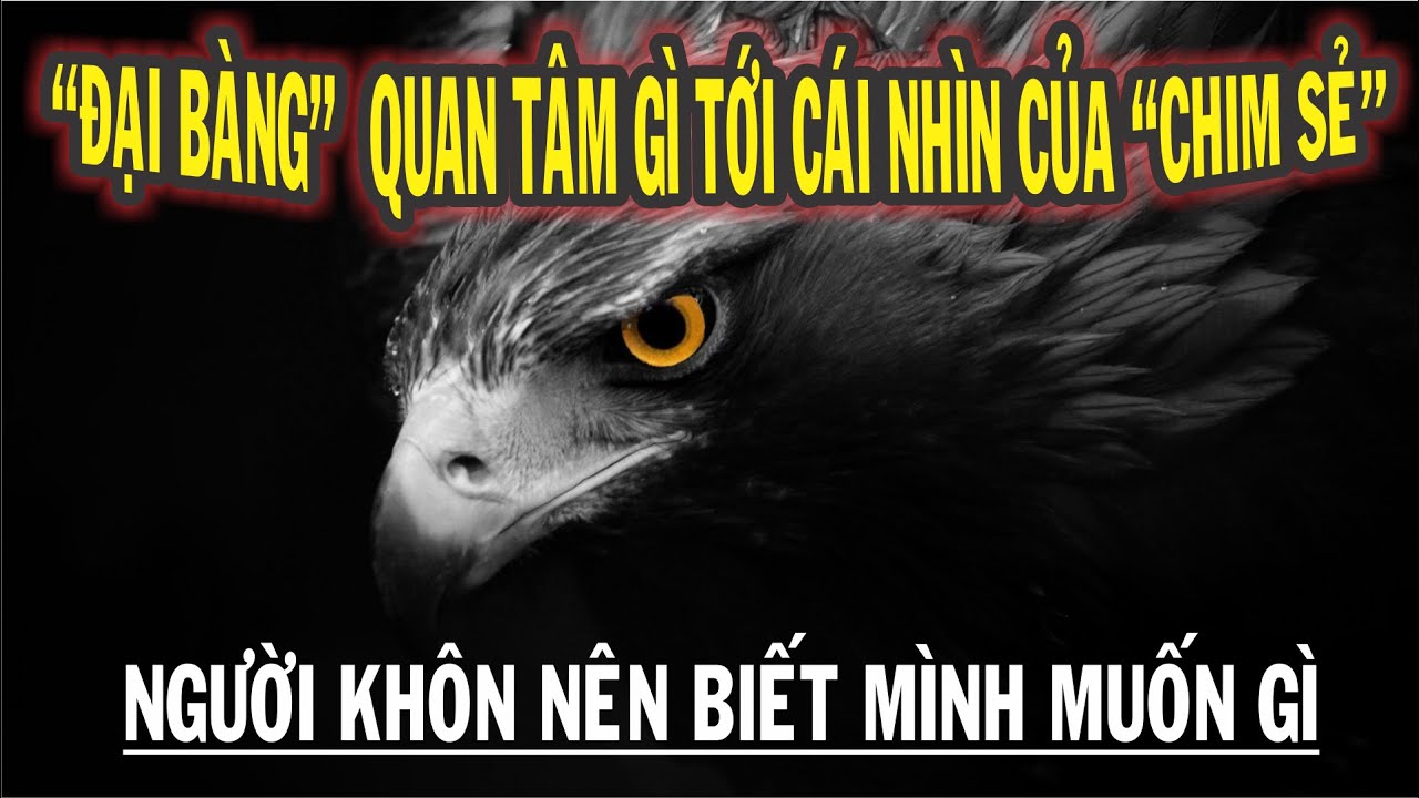 Là ĐẠI BÀNG thì cần gì quan tâm tới cái nhìn của CHIM SẺ | Người KHÔN nên biết mình muốn gì | NGẪM