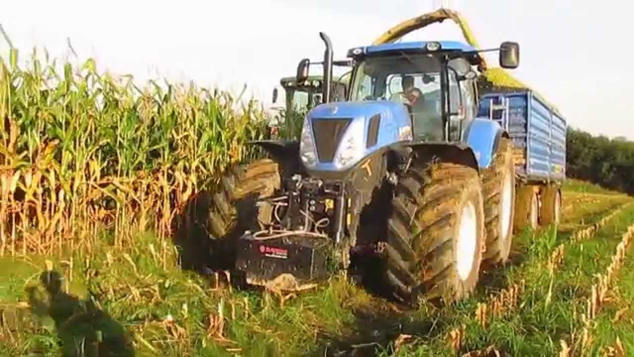 KOSZENIE KUKURYDZY NA KISZONKĘ W RSP