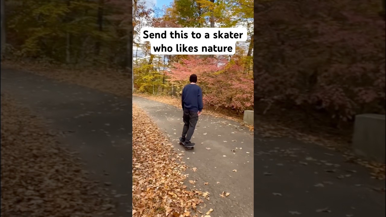 Почему я использую Qwik truks и shark wheels, когда катаюсь на коньках по трассам #skateboarding ...