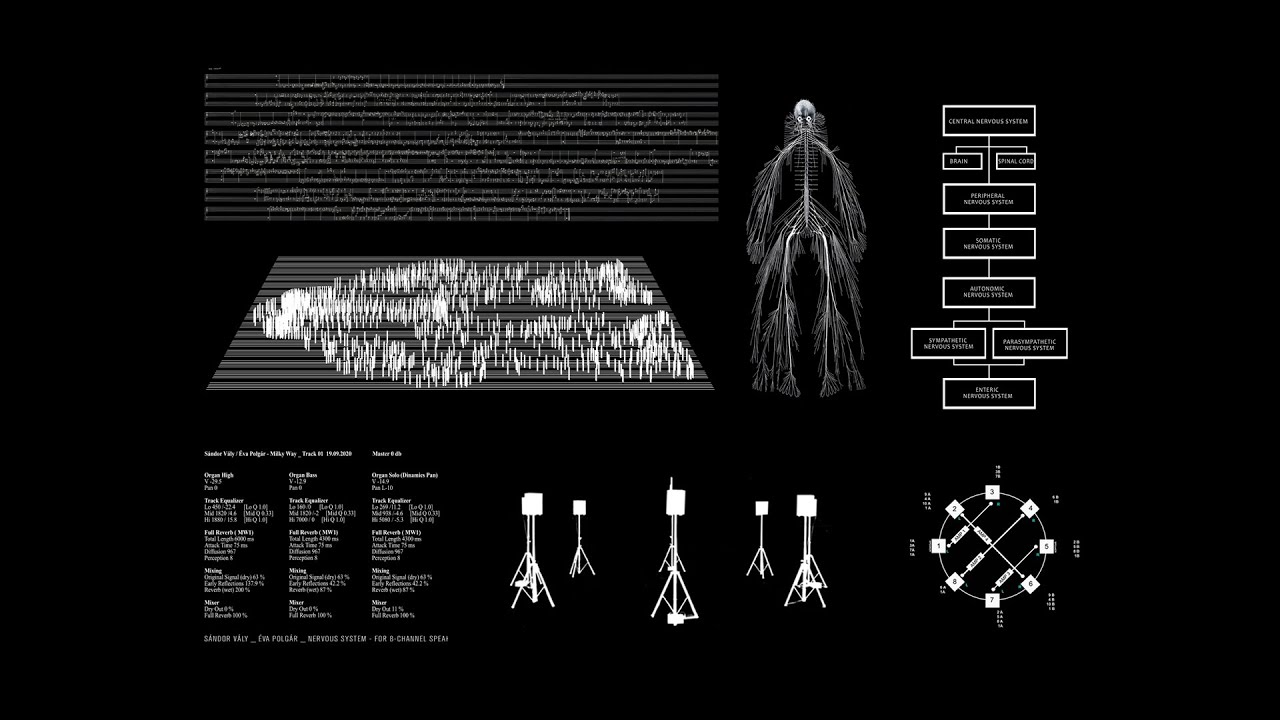 Éva Polgár and Sándor Vály _Nervous System_ AV Installation