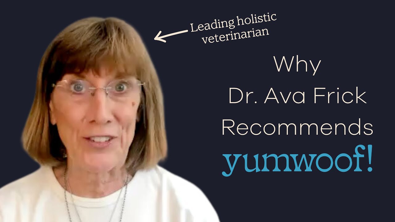 Why Dr. Ava Frick Recommends Yumwoof Air-Dried Dog Food