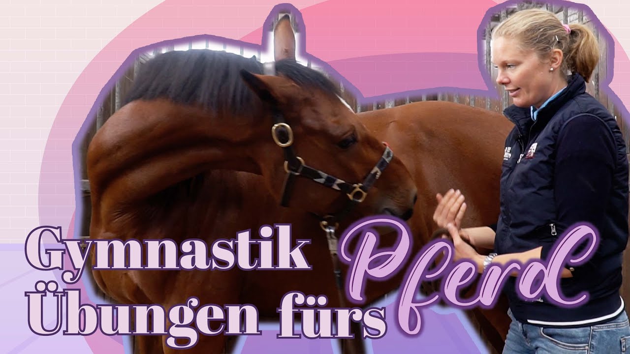 DEHNEN BITTE! | Übungen für dein Pferd | BinieBo