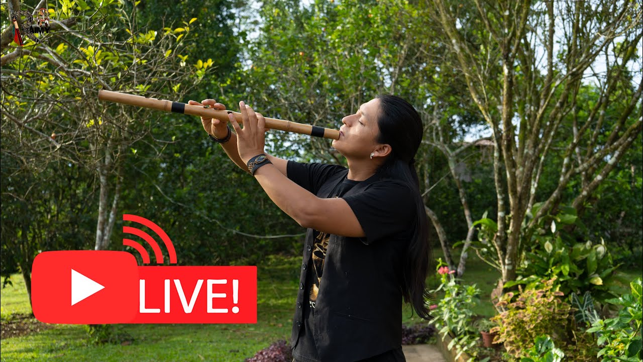 Live Music Accompanied by Sounds of the Amazon Jungle.