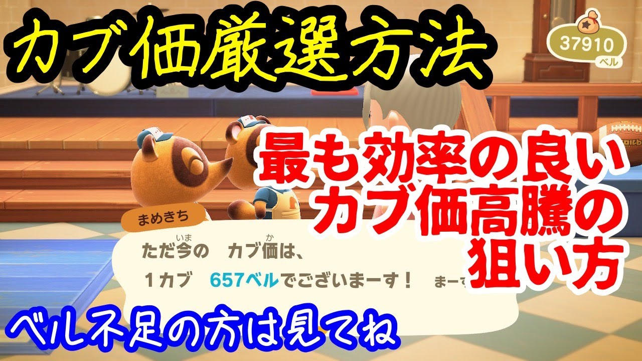 【あつ森カブ】今最も効率の良いカブ厳選方法紹介！カブ価ツール使うより早い！毎週600ベル越えも狙える！
