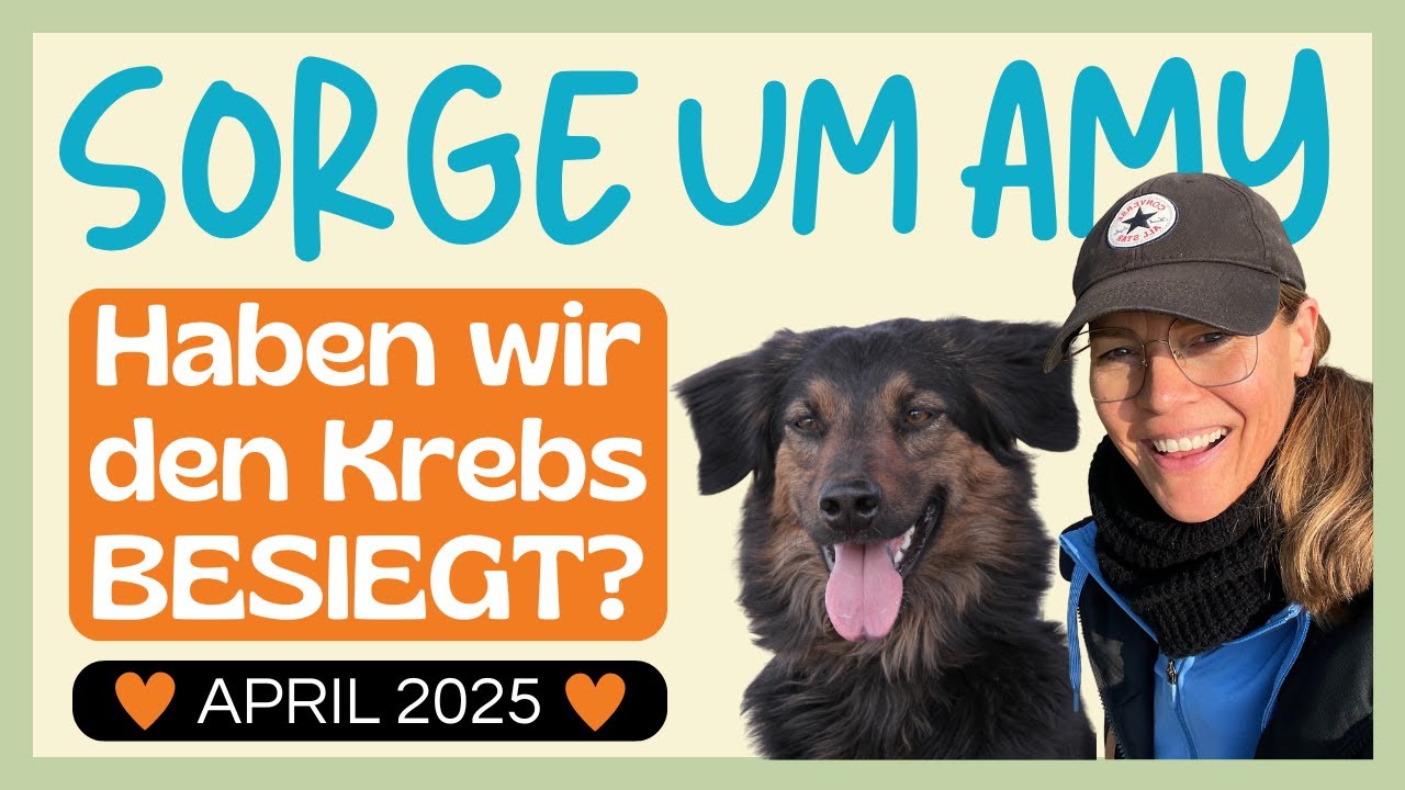 😅 HAT AMY DEN KREBS BESIEGT? PLUS: EIN MEGA GESUNDHEITSTIPP FÜR DEINEN HUND, DEN KAUM EINER KENNT 🐕