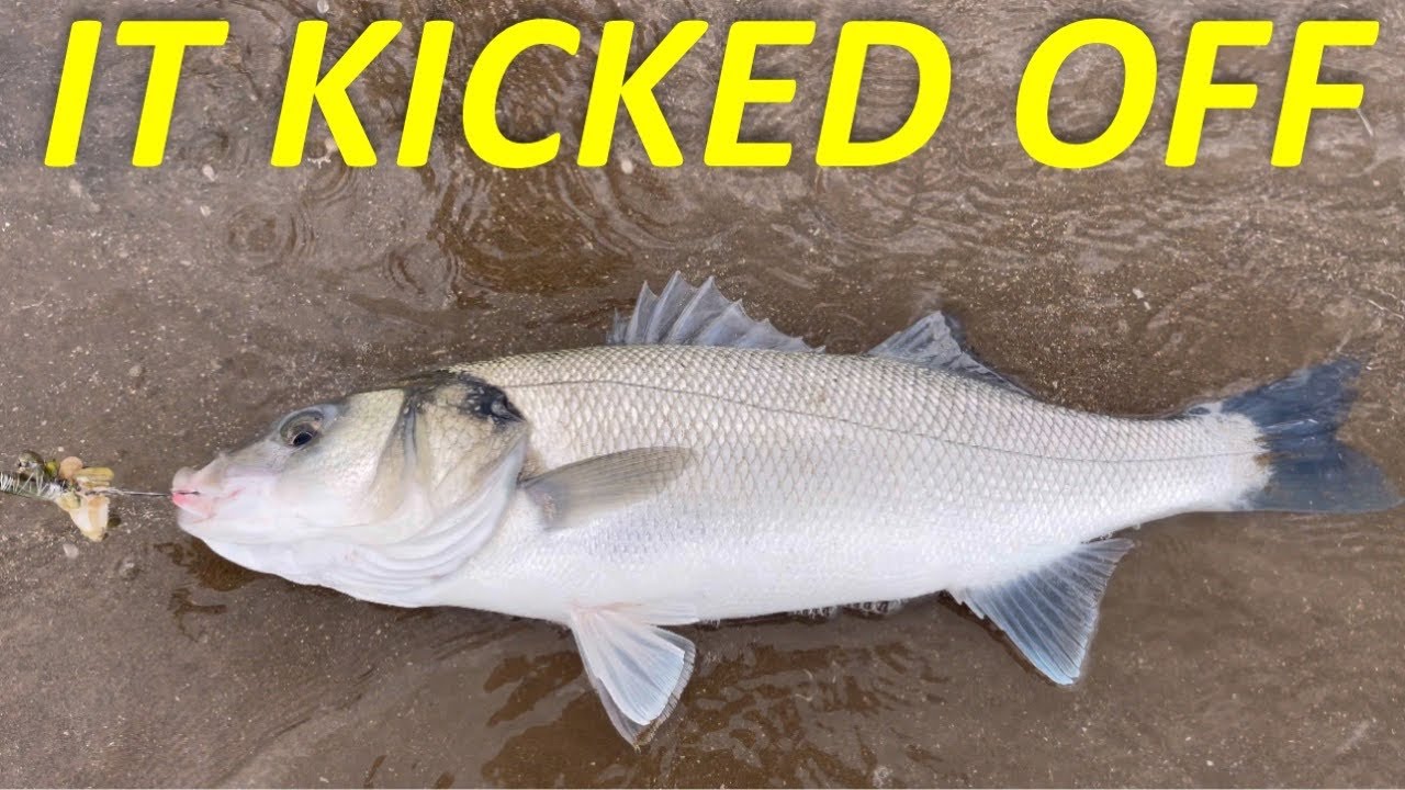 This BEACH is AMAZING❗️ CRAZY BITES EVERY CAST❗️