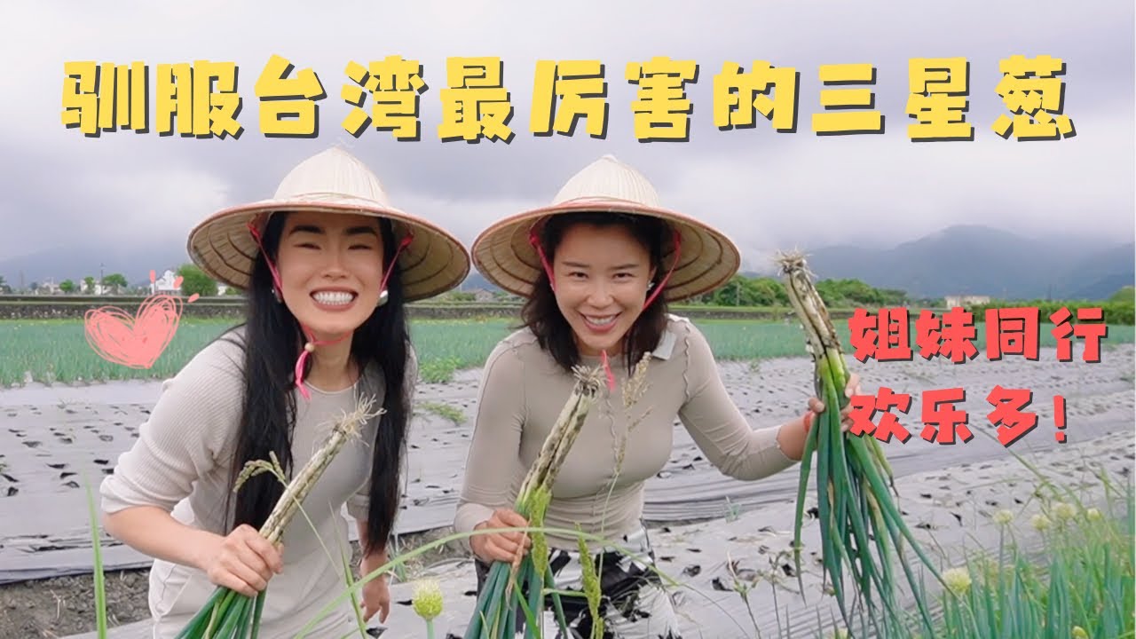 台湾最厉害的宜兰三星葱被我和