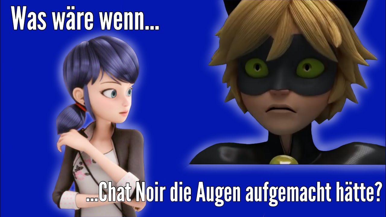 Was wäre wenn Chat Noir die Augen aufgemacht hätte? | Miraculous Polar Bear