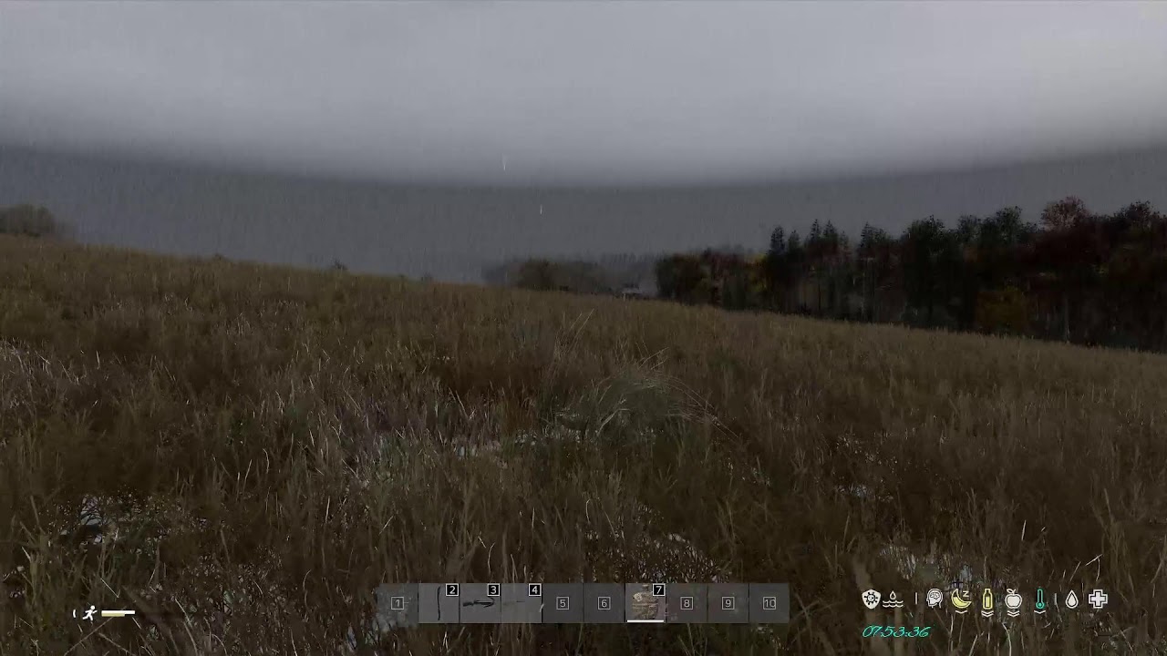 DayZ - да часик максимум посмотрим. #63 - 10/02/2026