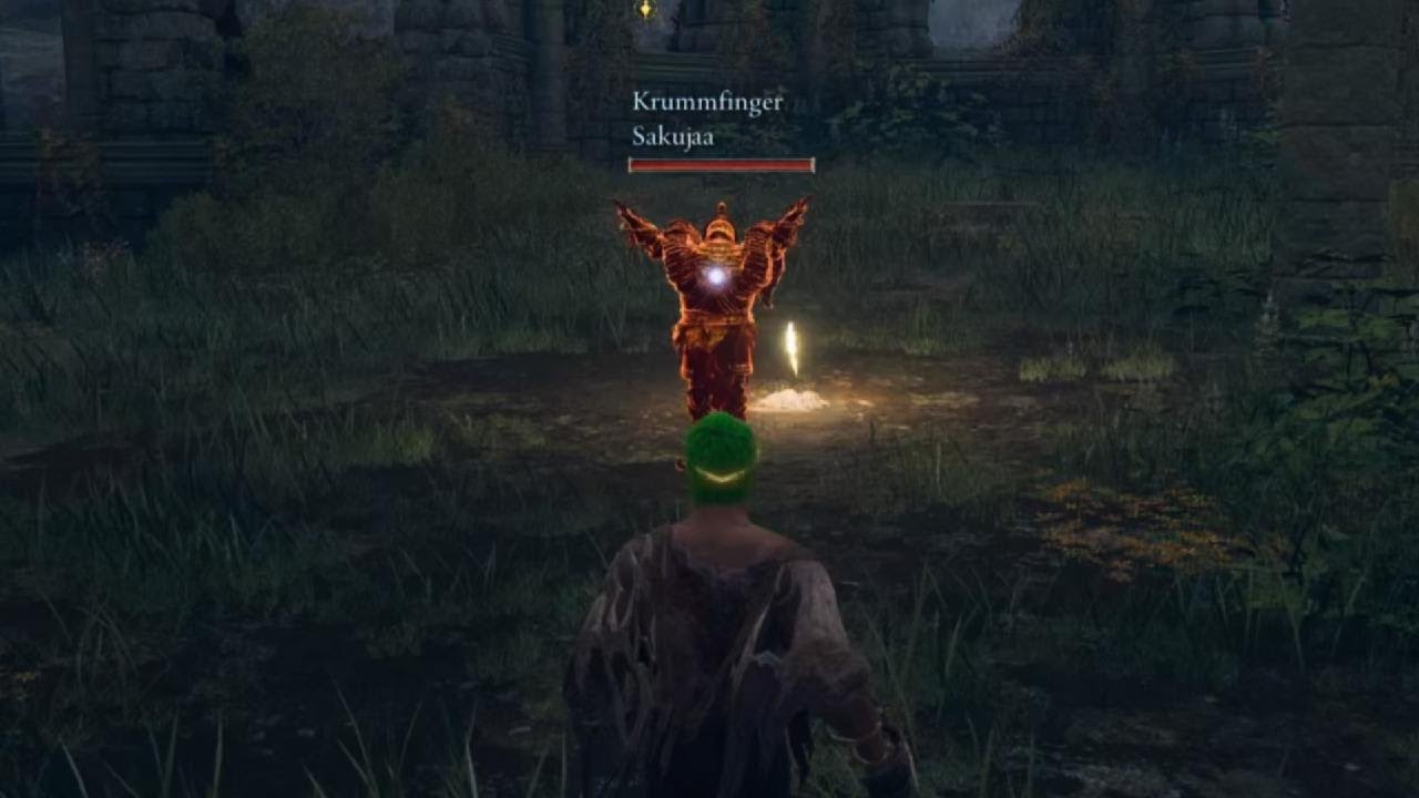 ELDEN RING Invasion LvL 1 vs The World 3.0