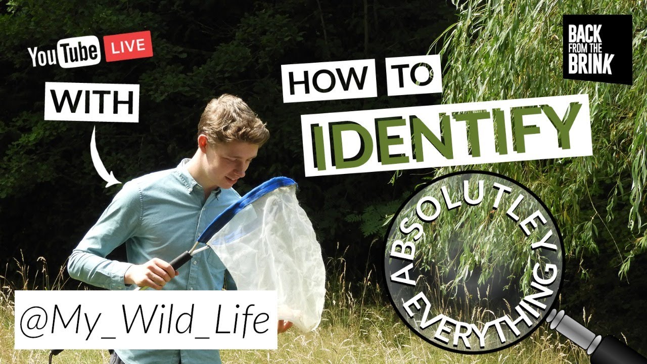 How to identify absolutely everything!