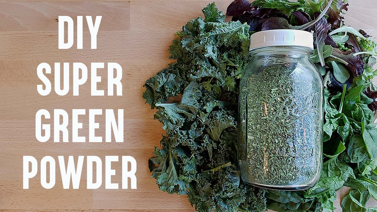 DIY Super Green Powder | Dehydrating Dandelion, Kale, Swiss Chard, Beet, and Lettuce