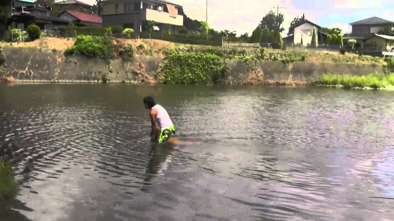 秋川にハロと一緒に泳ぎに行ってきました。ハロはかわうそになって自然に帰っていきました。