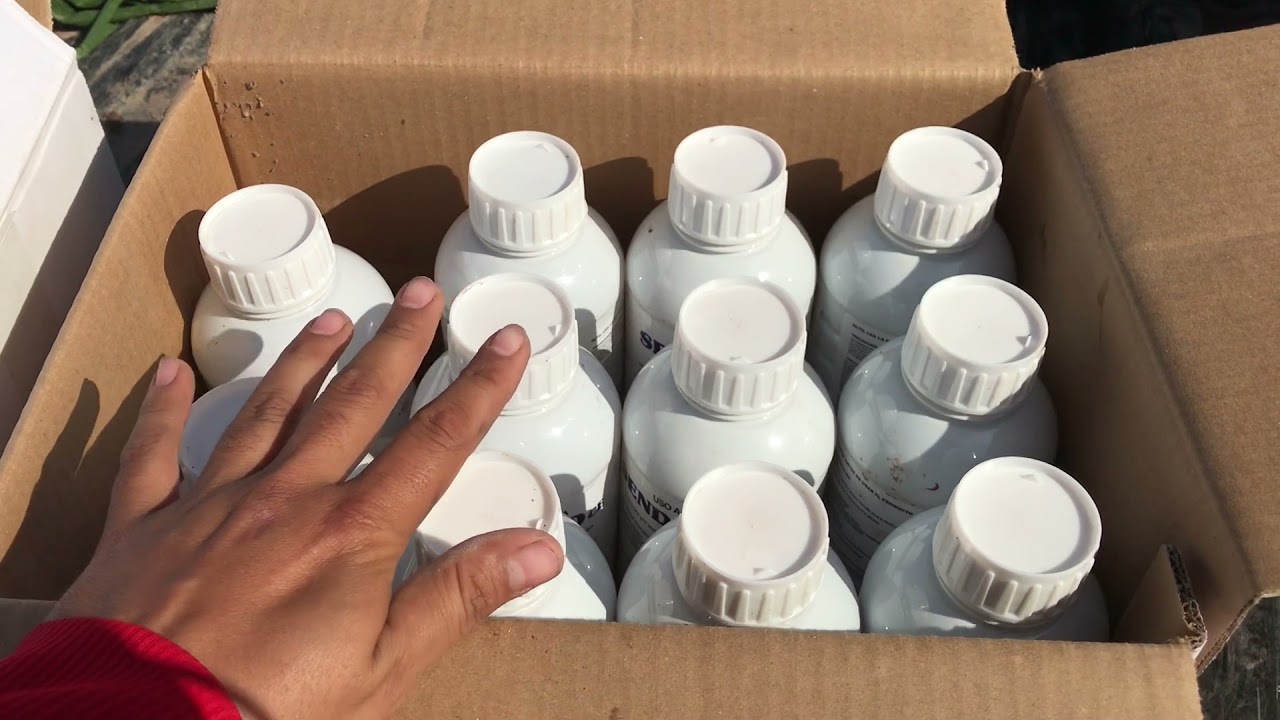 Fumigación de  maíz blanco(para gusano cogollero)