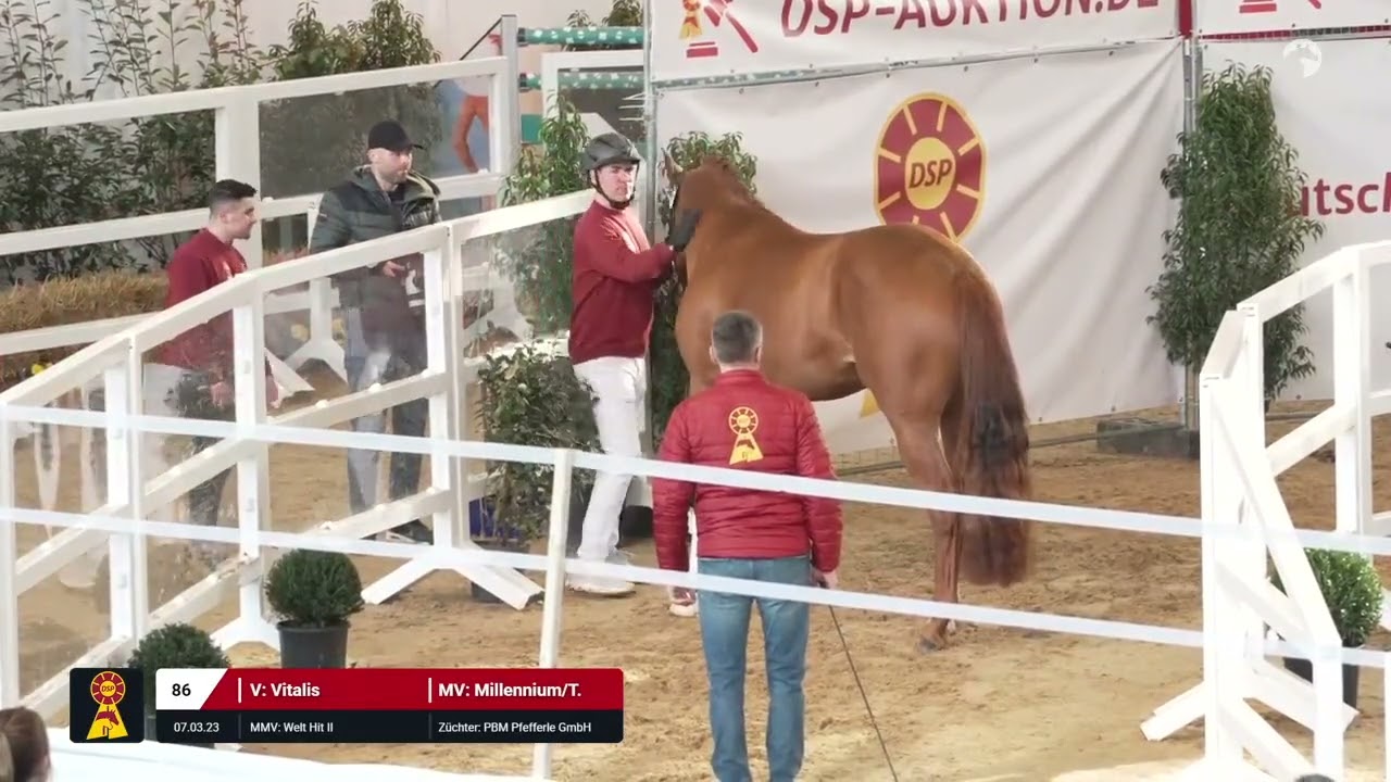 Lot 86 v. Vitalis / Millennium/T.