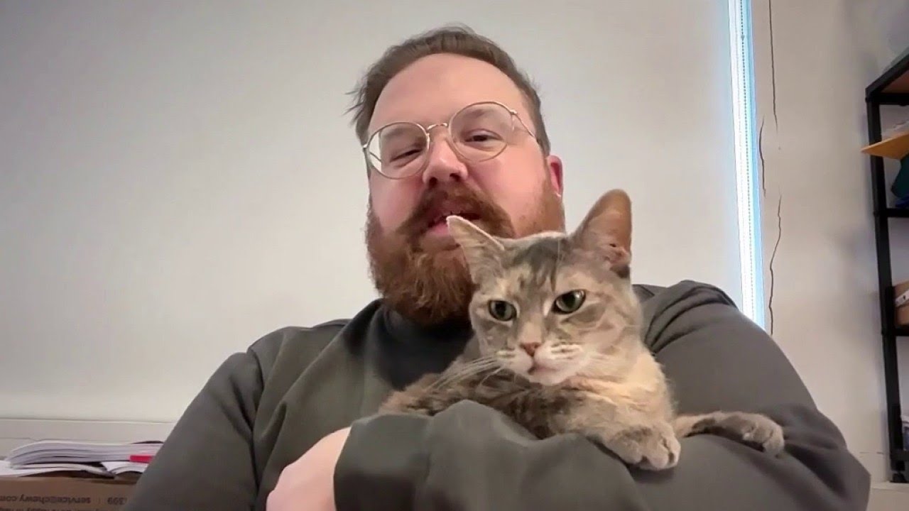 Chicago's Felines and Valentine's Party held for cat lovers | ChicagoLIVE