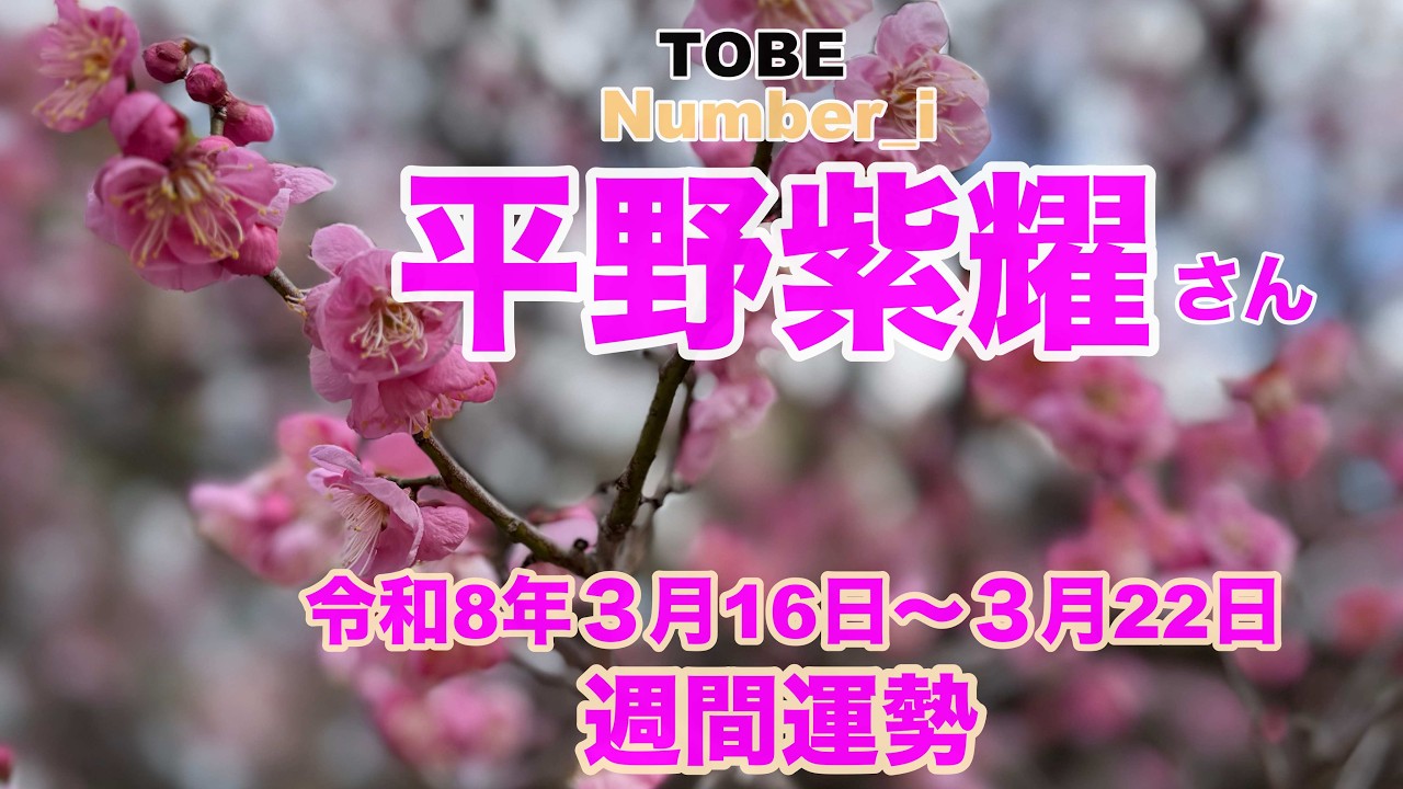 【平野紫耀】🔮Number_i・Sho Hirano 2025年令和8年3/16〜2025年令和8年3/22日1週間タロット占い毎日一言メッセージ✨オラクル・ルノルマンカード占い⚠️概要欄見てね